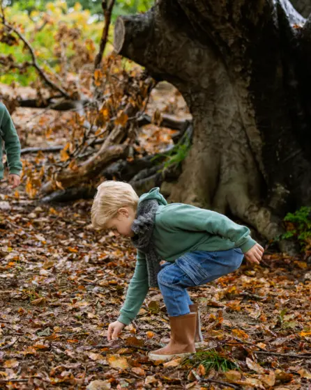 Evy Rosa kennemerduin herfst 5821 1