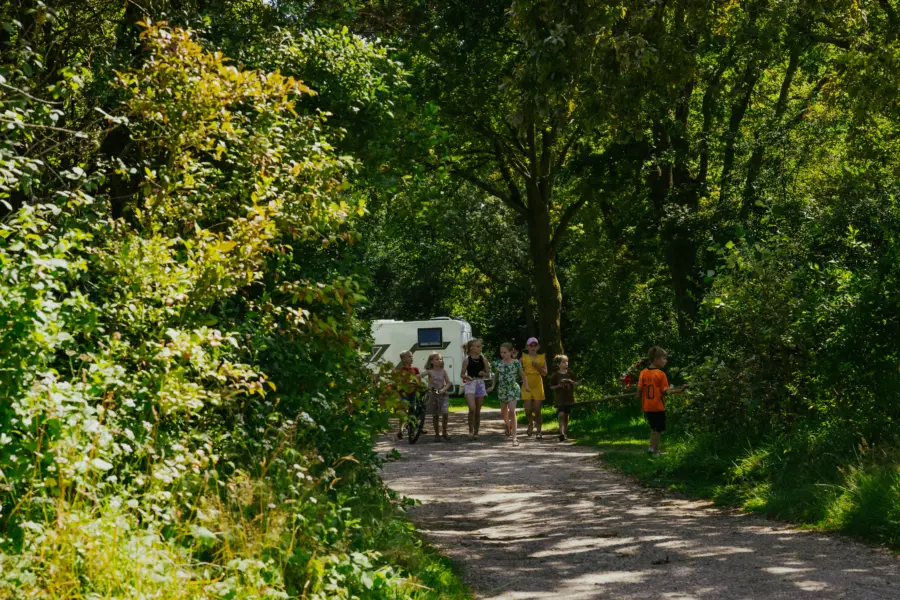 Geversduin kinderen lopen over het pad