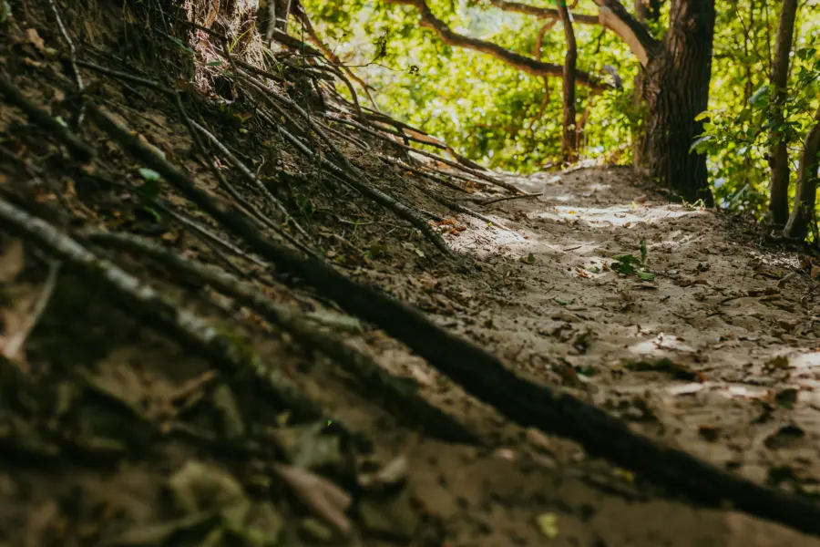 Grond campinggeversduin