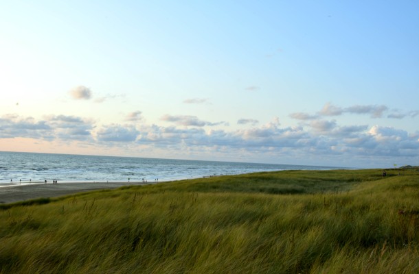 dunes at the sea in the evening egmond aan zee.jpg